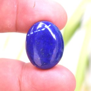 apis lazuli Lajward(C25.35)