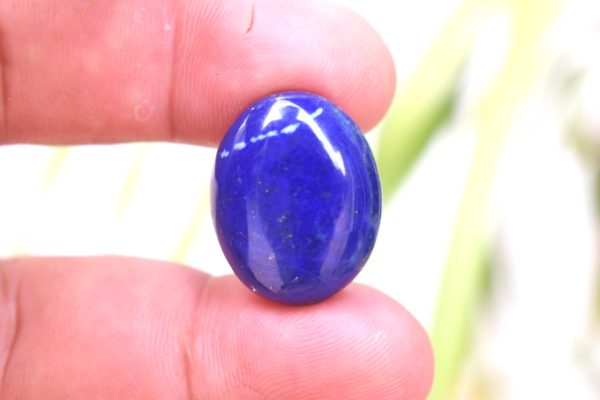 apis lazuli Lajward(C25.35)