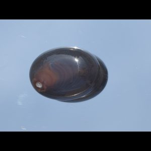 Sulaimani Agate/aqeeq 27