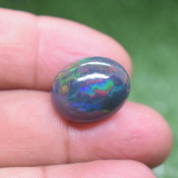 Black Opal 1