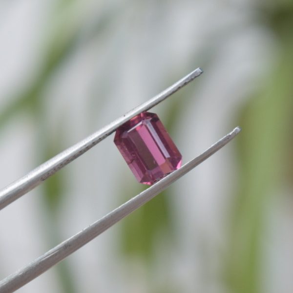 Tourmaline | Pink Tourmaline(T-1.4)