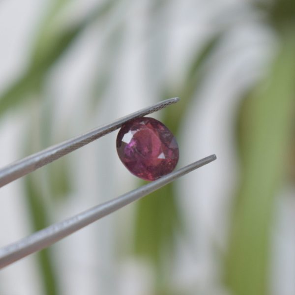 Tourmaline | Pink Tourmaline(T-3.65)