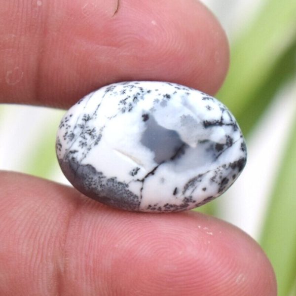 Dendritic agate Shajri Aqeeq(C14.30)