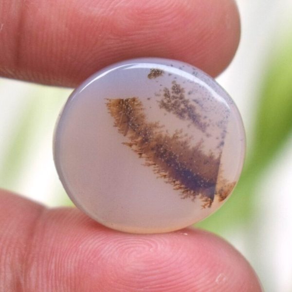 Dendritic agate Shajri Aqeeq(C15)