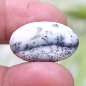 Dendritic agate Shajri Aqeeq(C20)