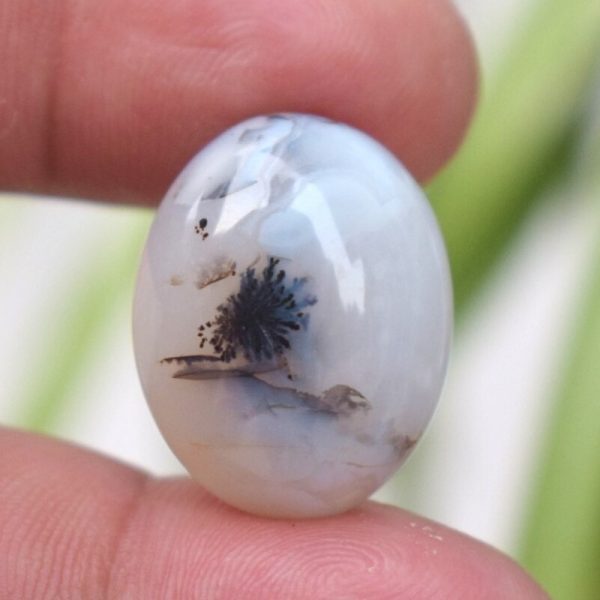 Dendritic agate Shajri Aqeeq(C21.70)