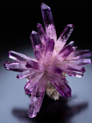 The Allure of Amethyst  February birthstone4