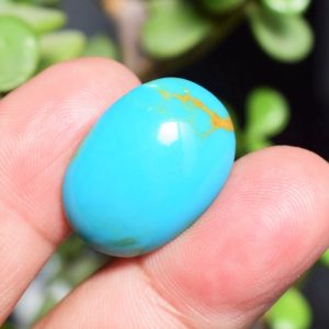 Feroza Turquoise CD 21
