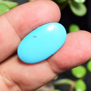 Feroza Turquoise CK 23