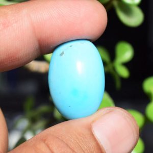 Feroza Turquoise CK 27