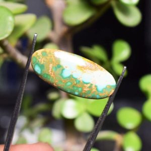 Feroza Turquoise C11