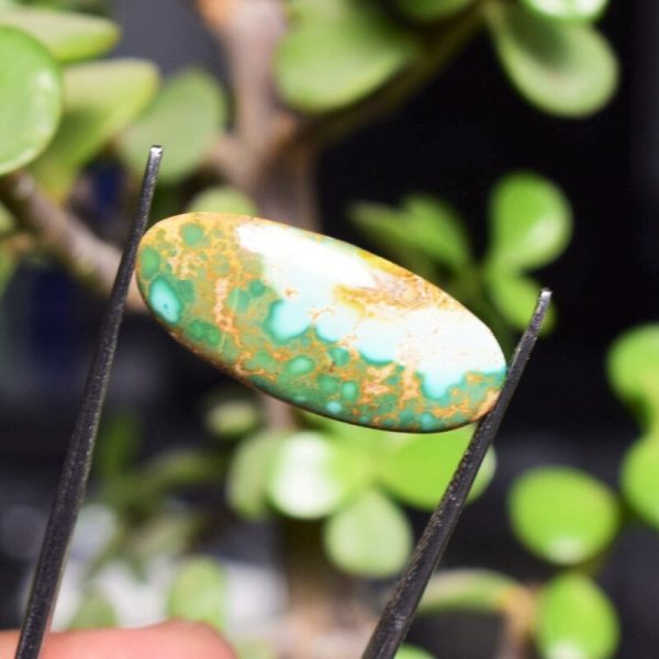 Feroza Turquoise C11