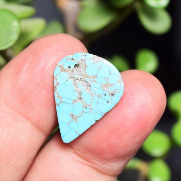 Feroza Turquoise C12