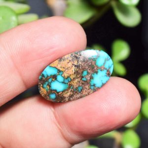Feroza Turquoise C14.30
