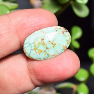 Feroza Turquoise C17