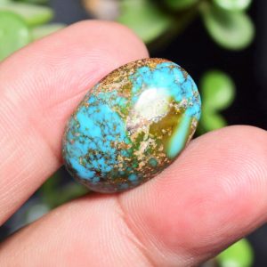 Feroza Turquoise C25