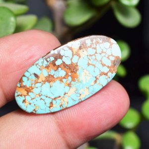 Feroza Turquoise C32