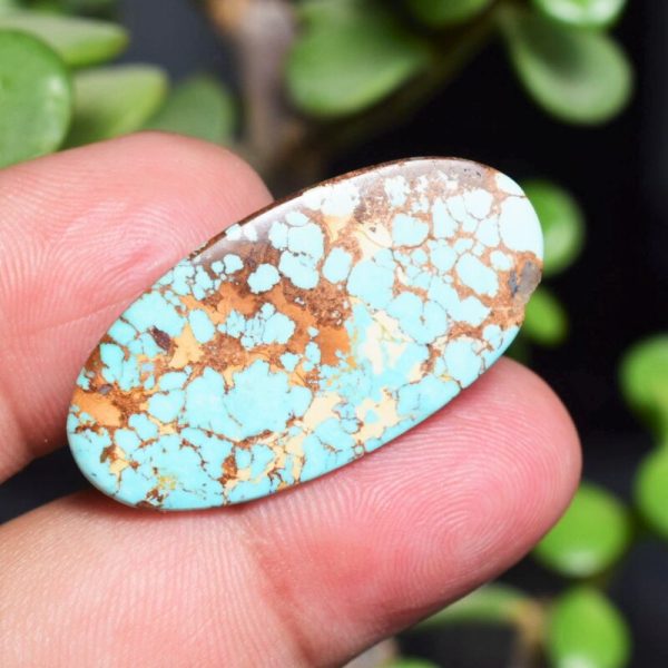 Feroza Turquoise C32