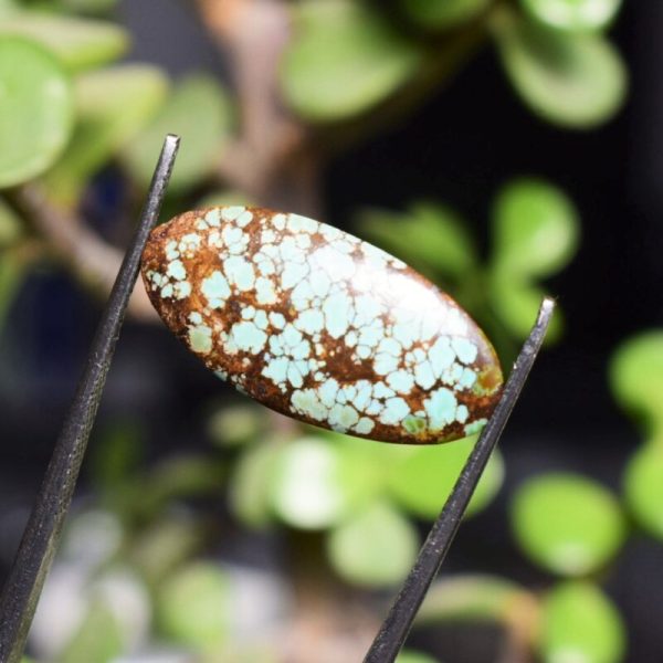 Feroza Turquoise C9.5