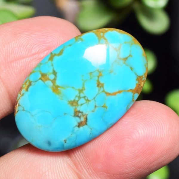 Feroza Turquoise CD 40