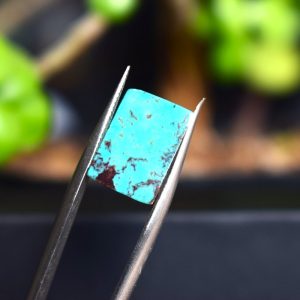 Feroza Turquoise C4.20