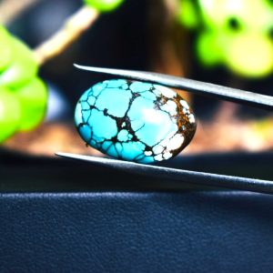 Feroza Turquoise CA20