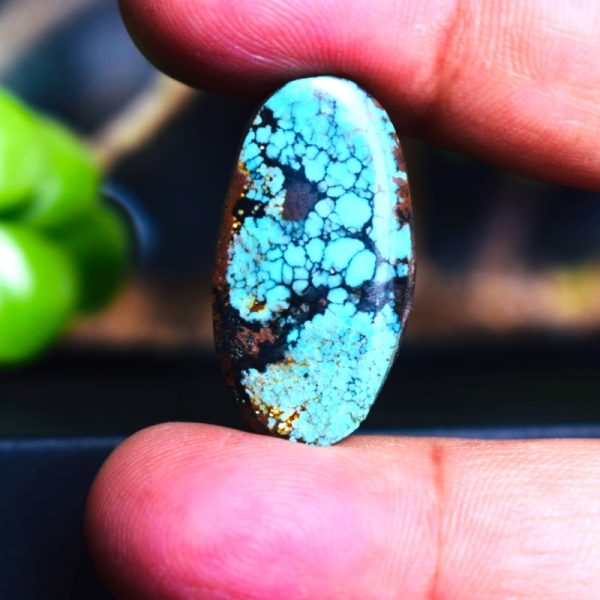 Feroza Turquoise C23