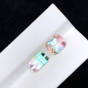 Bi Color Natural Tourmaline Set(T2.37 Ct & 2.39)
