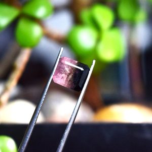 Bi Color Natural Tourmaline(T2.95)