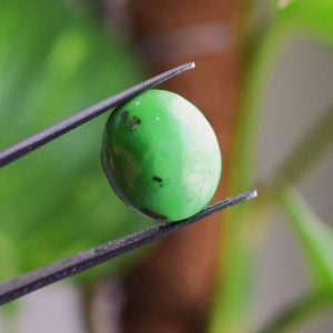 Natural Feroza Turquoise C 10