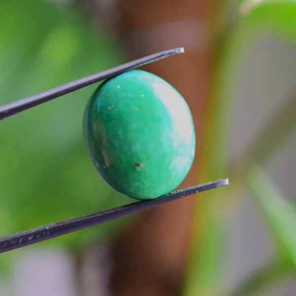 Natural Feroza Turquoise C 12.60