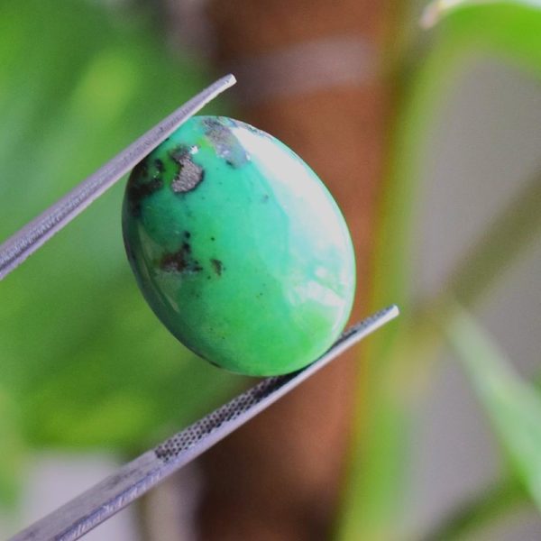 Natural Feroza Turquoise C 18