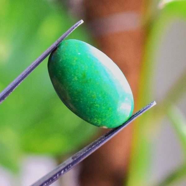Natural Feroza Turquoise C 18.40