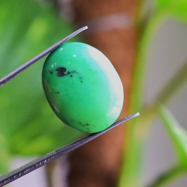 Natural Feroza Turquoise C 24