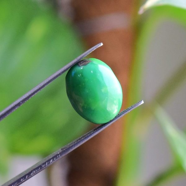 Natural Feroza Turquoise C 8.60