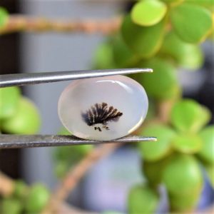 Natural Dendritic Agate Shajri Aqeeq(10.40Ct)