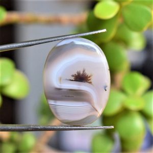 Natural Dendritic Agate Shajri Aqeeq(15.63Ct)