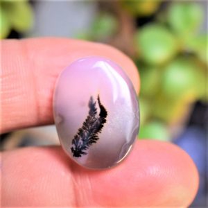 Natural Dendritic Agate Shajri Aqeeq(16.12Ct)
