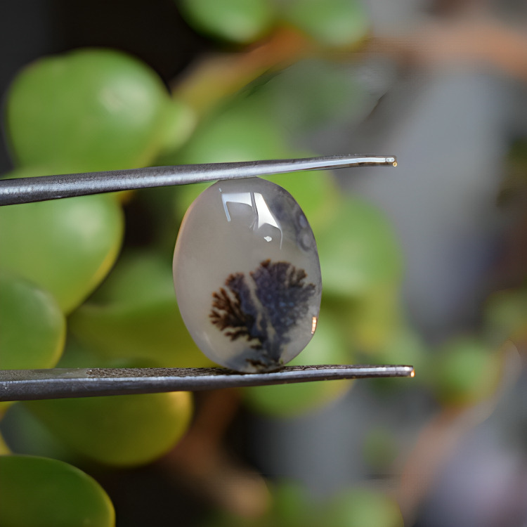 Natural Dendritic Agate Shajri Aqeeq(3.90Ct)