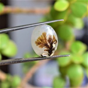 Natural-Dendritic-Agate-Shajri-Aqeeq6.32Ct