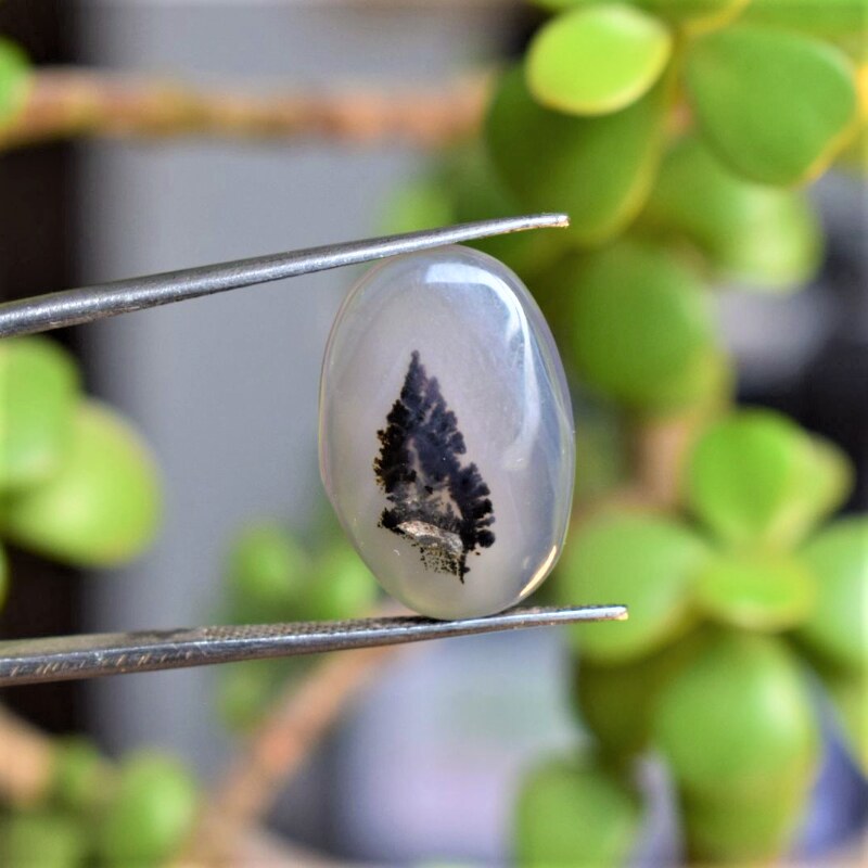 Natural Dendritic Agate Shajri Aqeeq(8.58Ct)