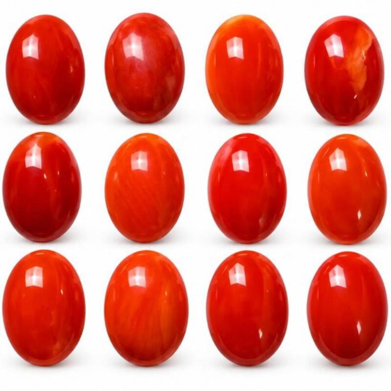Natural Red Coral Marjan 11.66 Ct (It) Calibrated Lot